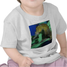 Sea Horse Shirts