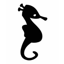 Sea Horse T shirt