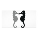 sea horses icon photo cards