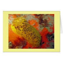 Sea Lemon Card