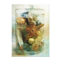 Sea Life Apothecary - 1 Stretched Canvas Prints