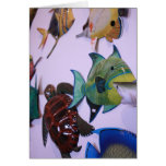 Sea Life in Florida Greeting Card