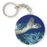 Sea Life - Sea Turtle keychains