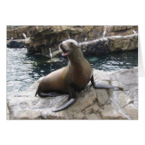 sea lion barking greeting cards