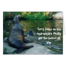 sea lion birthday card