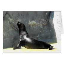 Sea Lion Greeting Card