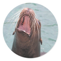 Sea Lion Mouth Open Sticker