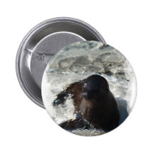Sea Lion Pup Pin