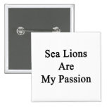 Sea Lions Are My Passion Pinback Button