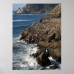 Sea Lions & Heceta Head Lighthouse Poster