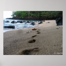 Sea Lodge Beach, Kauai Print
