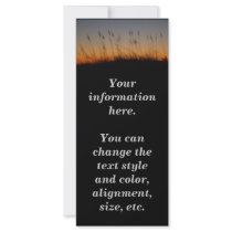 Sea Oats and Dunes at Sunset Rack Cards