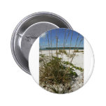 Sea oats and other beach vegetation pins