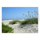 Sea Oats at Ocracoke Greeting Card