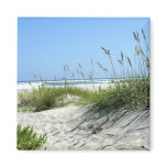 Sea Oats at Ocracoke magnets