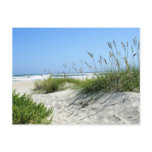 Sea Oats at Ocracoke Postcards