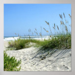 Sea Oats at Ocracoke Poster