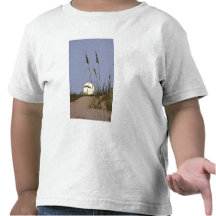 Sea Oats Uniola paniculata) growing on sand T Shirt