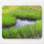 Sea of Grass mousepads
