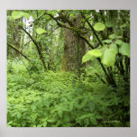 Sea of Green Posters