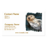 Sea Otter Business Card