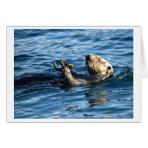 Sea Otter Card