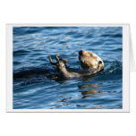 Sea Otter cards