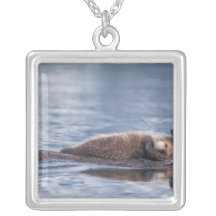 sea otter, Enhydra lutris lutris, mother with 2 Pendants