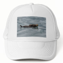 sea otter