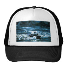 Sea Otter Hats