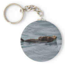 sea otter