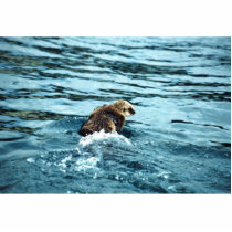 Sea Otter Cut Out