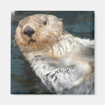 Sea Otter Square Magnet