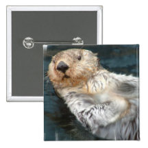 Sea Otter Square Pin