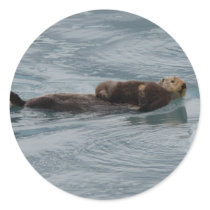 sea otter
