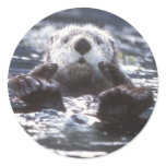 Sea Otter Stickers