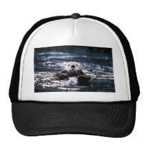 Sea Otter Swimming Mesh Hats