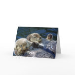 Sea-otters card