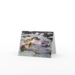 Sea Otters Holding Hands cards