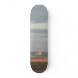 sea palling 2 skateboards