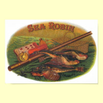 Sea Robin posters