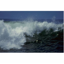 Sea Scenes Photo Cutouts