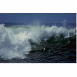 Sea Scenes photo sculptures