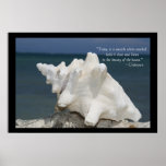 Sea Shell Inspirational Poster Print