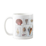 Sea Shell Mug
