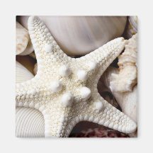 Sea Shell Starfish Background - Beach Shells Fridge Magnets