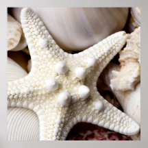 Sea Shell Starfish Background - Beach Shells Print