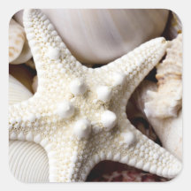 Sea Shell Starfish Background - Beach Shells Square Stickers