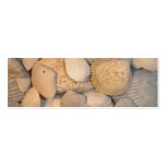 Sea Shells Bookmark business cards