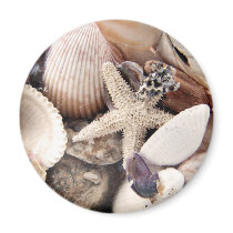 Sea Shells by the Shore Refrigerator Magnet